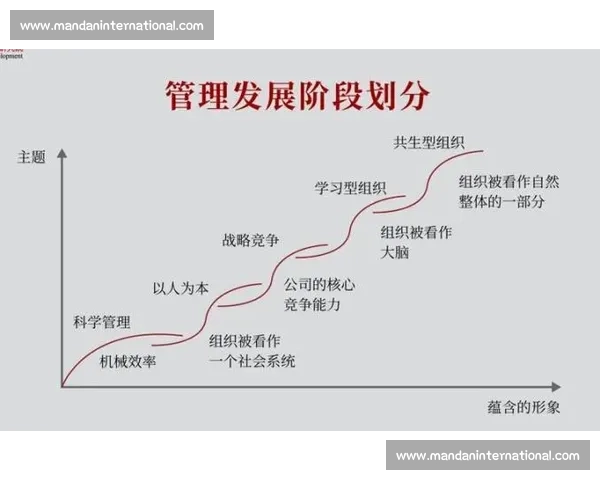 以单核带队为核心的组织进化与高效协同路径探索实践方法论研究新